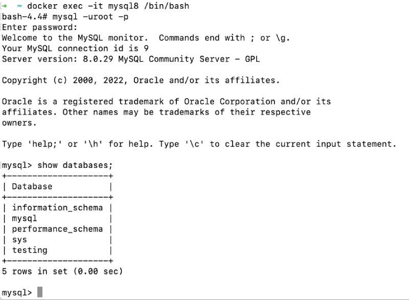 Docker command - docker exec example