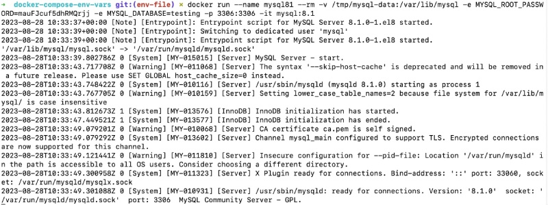 Docker run with environment variables