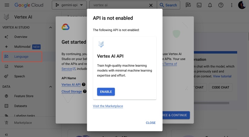 Enable the Vertex AI APIs to use Gemini 1.0 Pro LLM