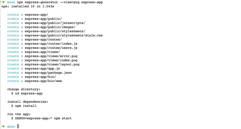 Output of Node.js Express generator