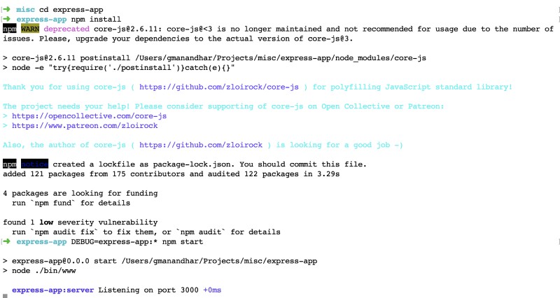 Output of Express run with Debug